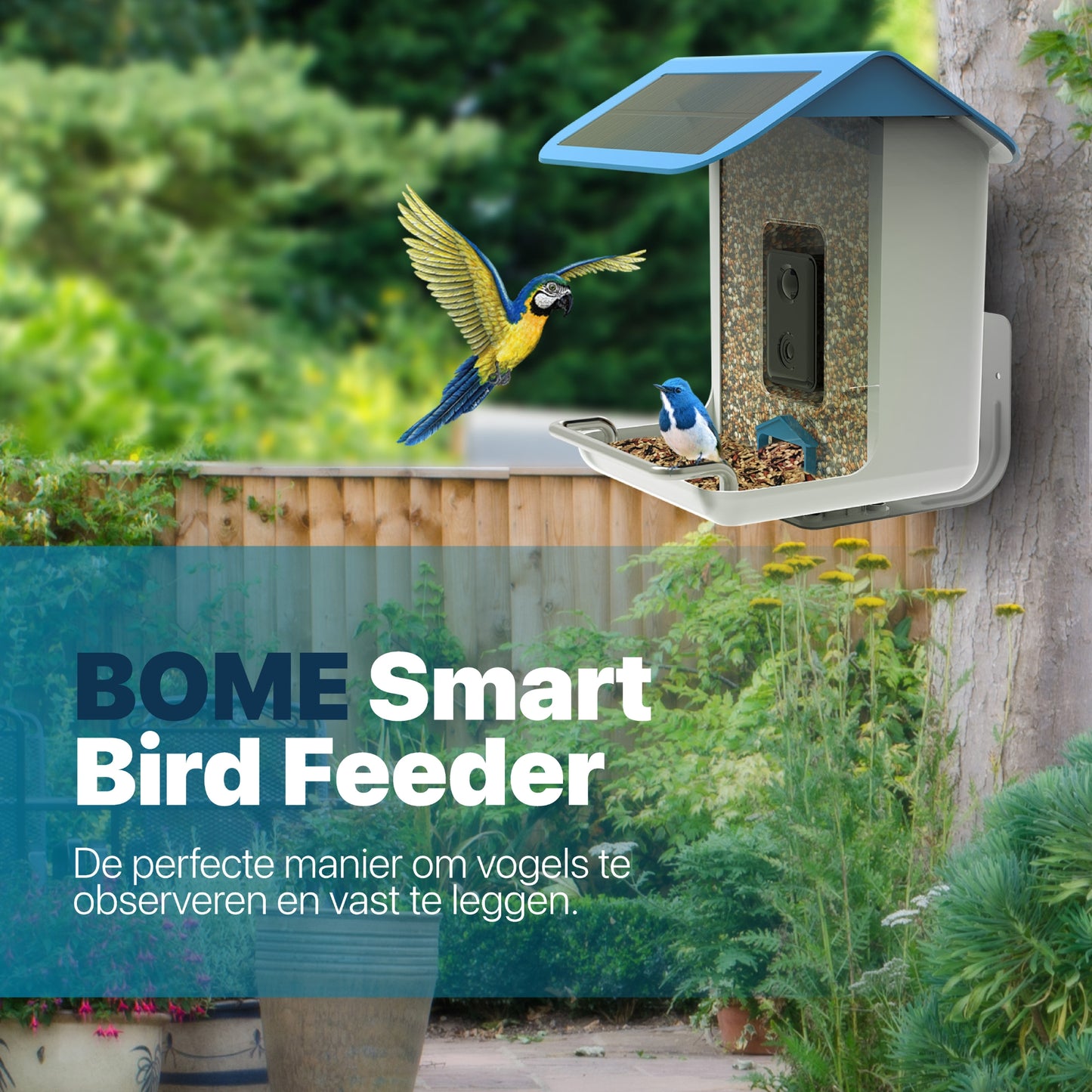 Vogelvoederhuisje - Camera en Audio - AI Vogelherkenning - Hangend
– BOME