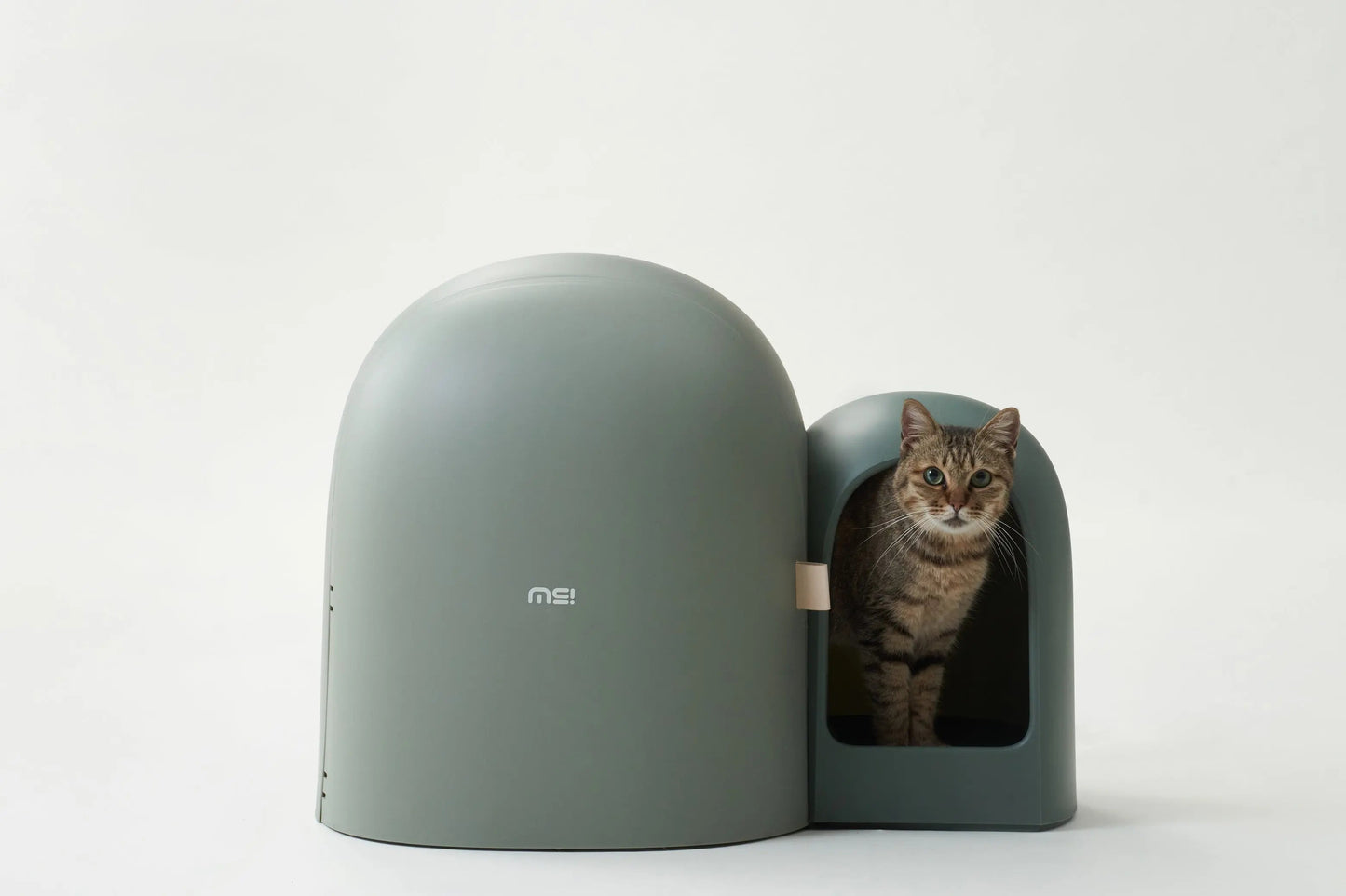 Design Kattenbak met schepje - Lek en geurvrij - Groen