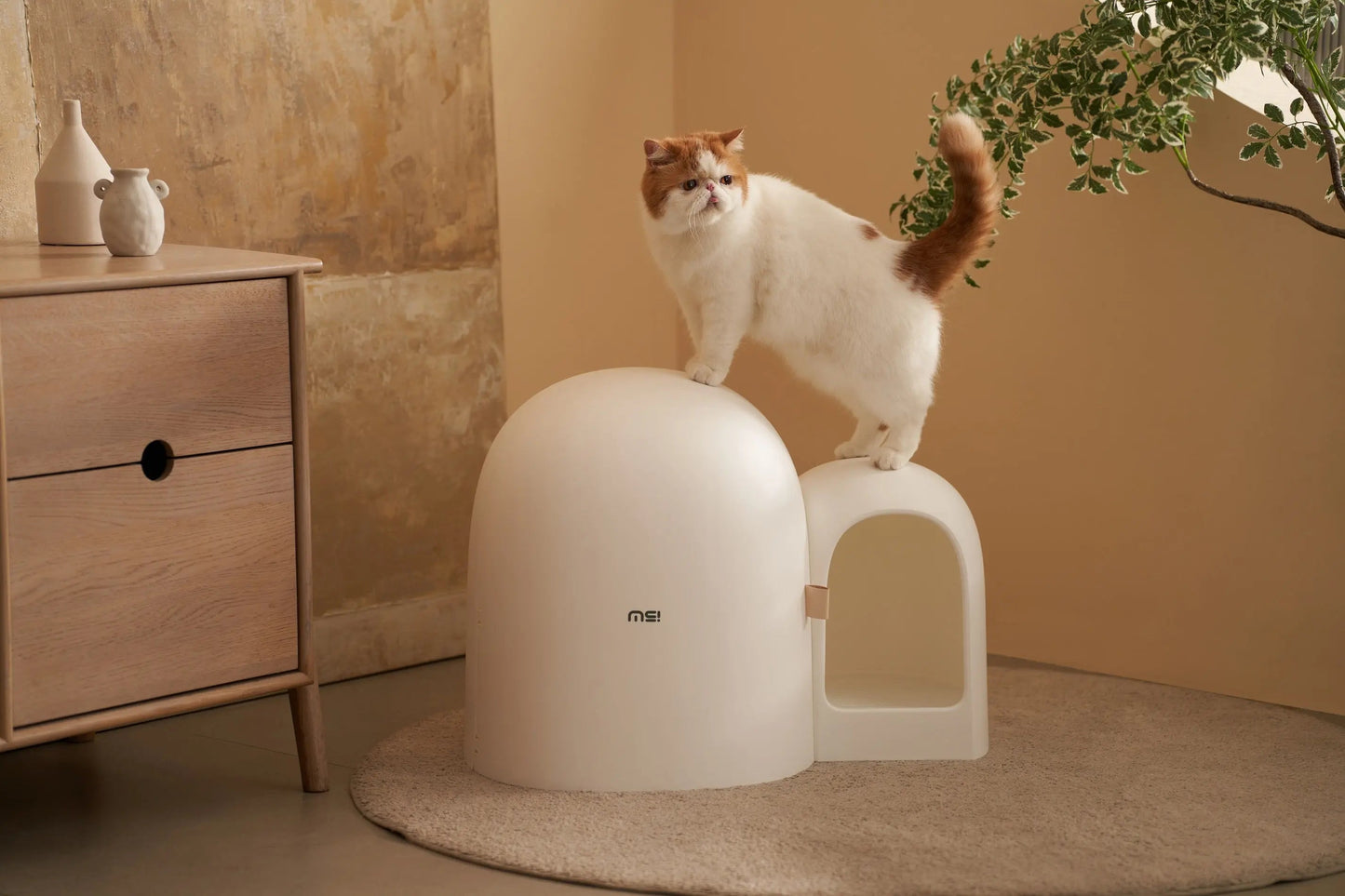 Design Kattenbak met schepje - Lekvrij en geurvrij