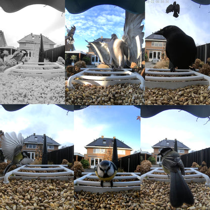 Vogelvoederhuisje - 2K HD Camera - AI Vogelherkenning - Dubbel Zonnepaneel