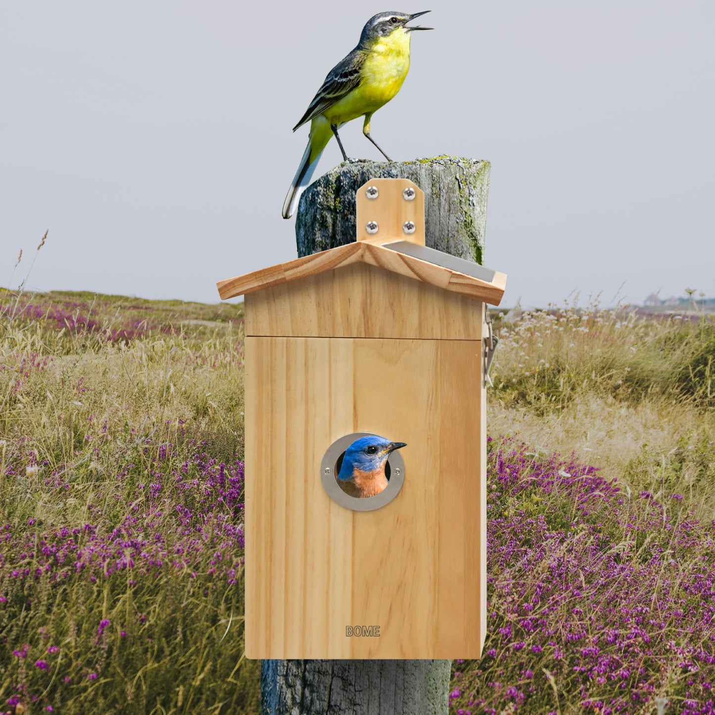 Invliegplaatje voor Nestkast - 28 mm en 32 mm - Inclusief Schroeven - RVS