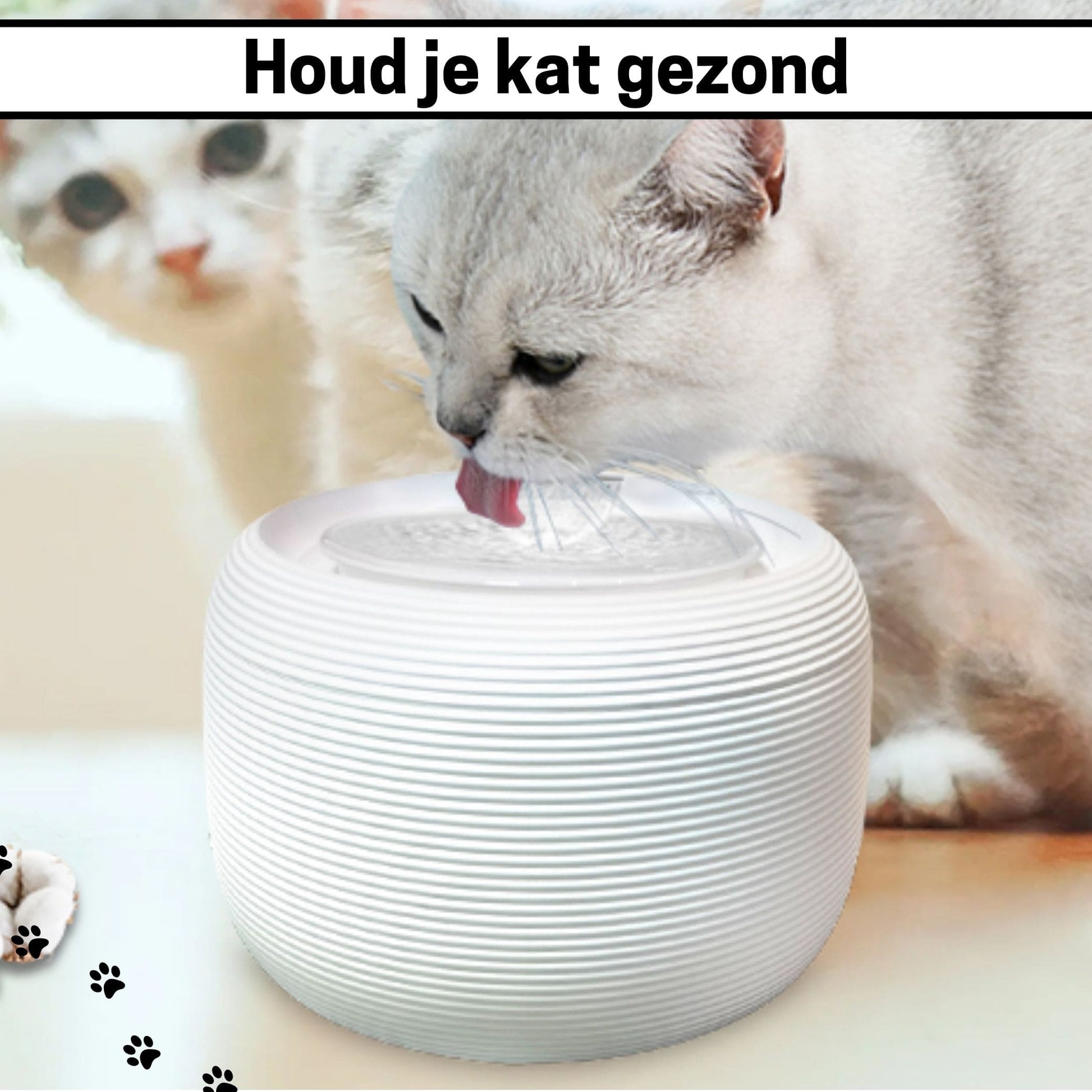 Zolux Filter Voor Drinkfontein slechts € 5,49 voor 2 St Zolux Filter Voor Drinkfontein slechts € 5,49 voor 2 St