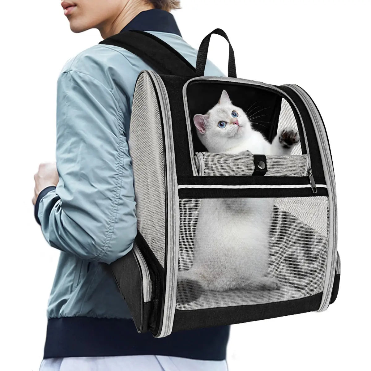 Huisdieren rugzak - Draagtas voor kat of hondje