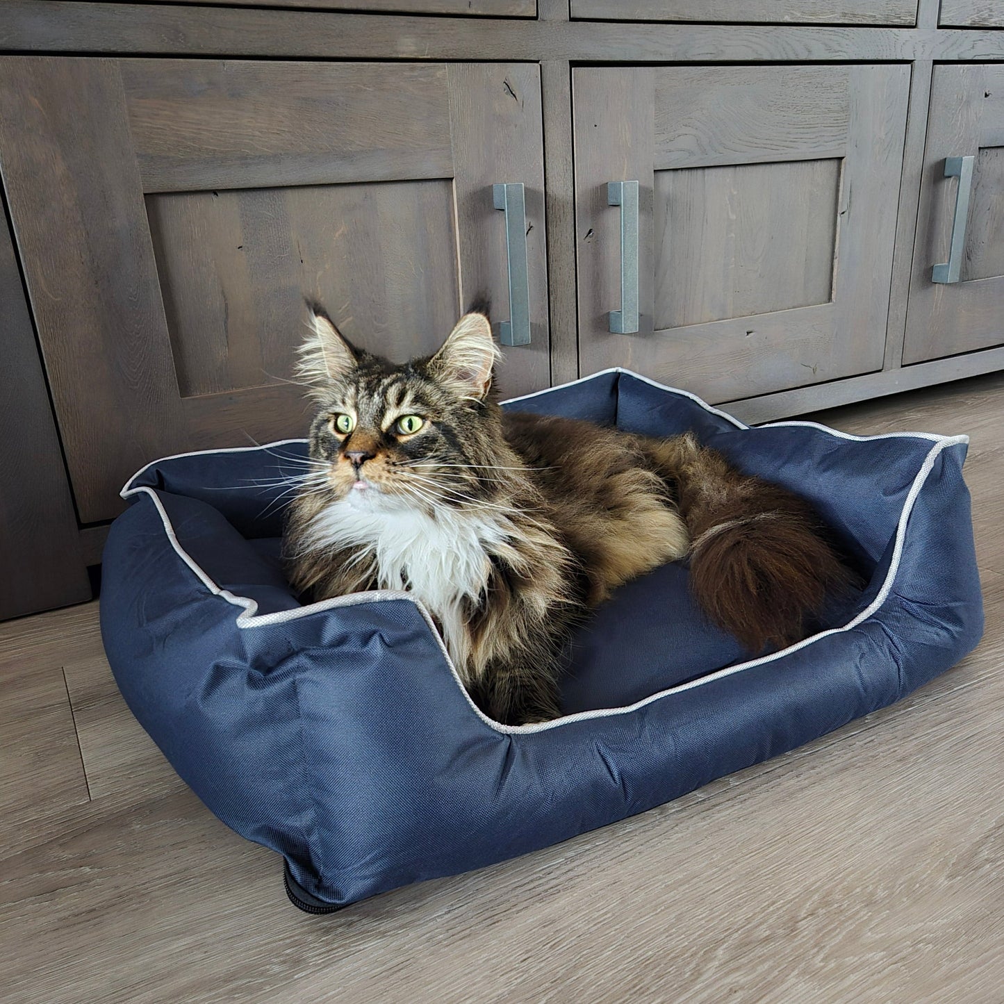 Huisdierenmand Bastiaan voor katten of honden maat S
