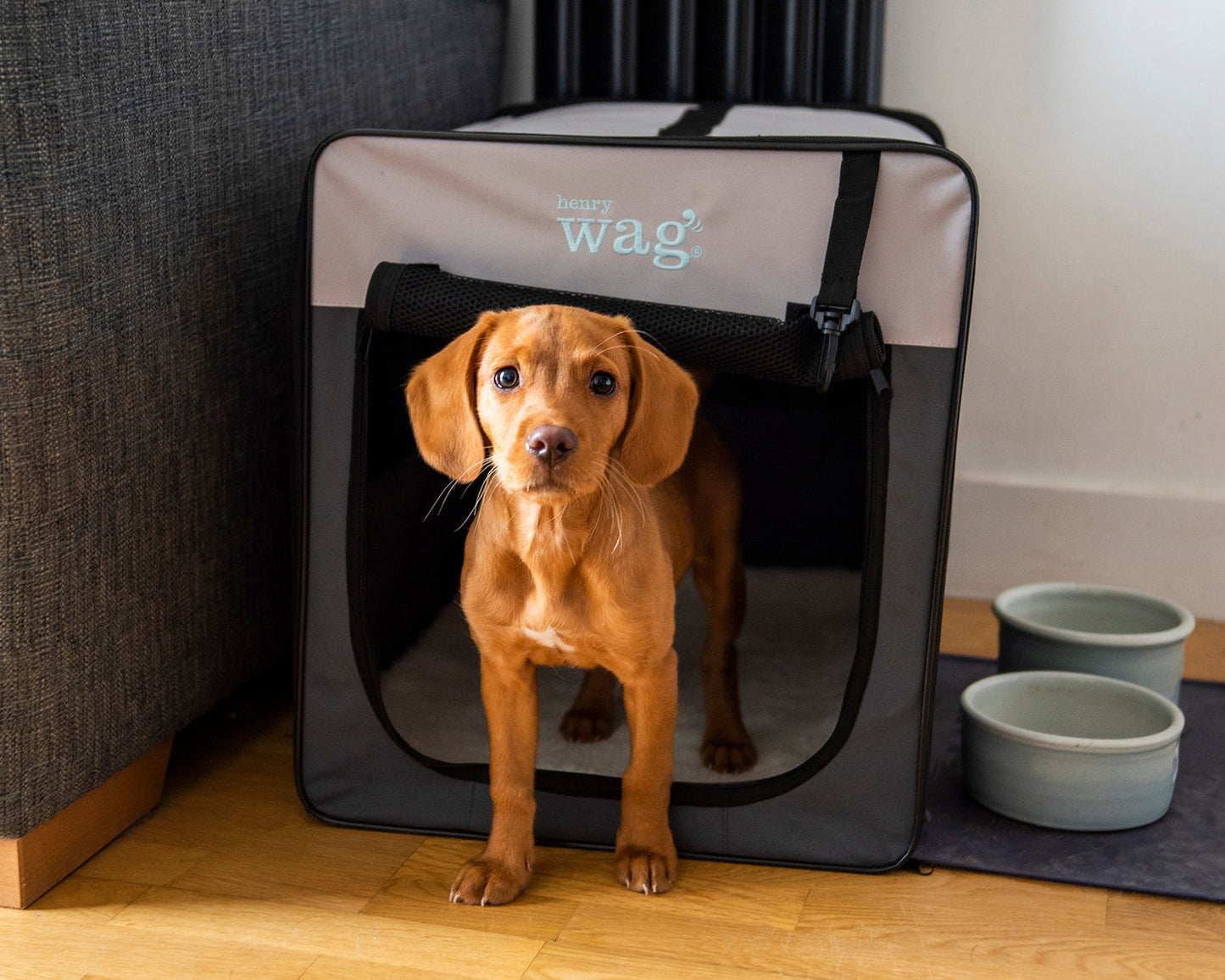 Henry Wag Opvouwbare Bench Hond - Reisbench M