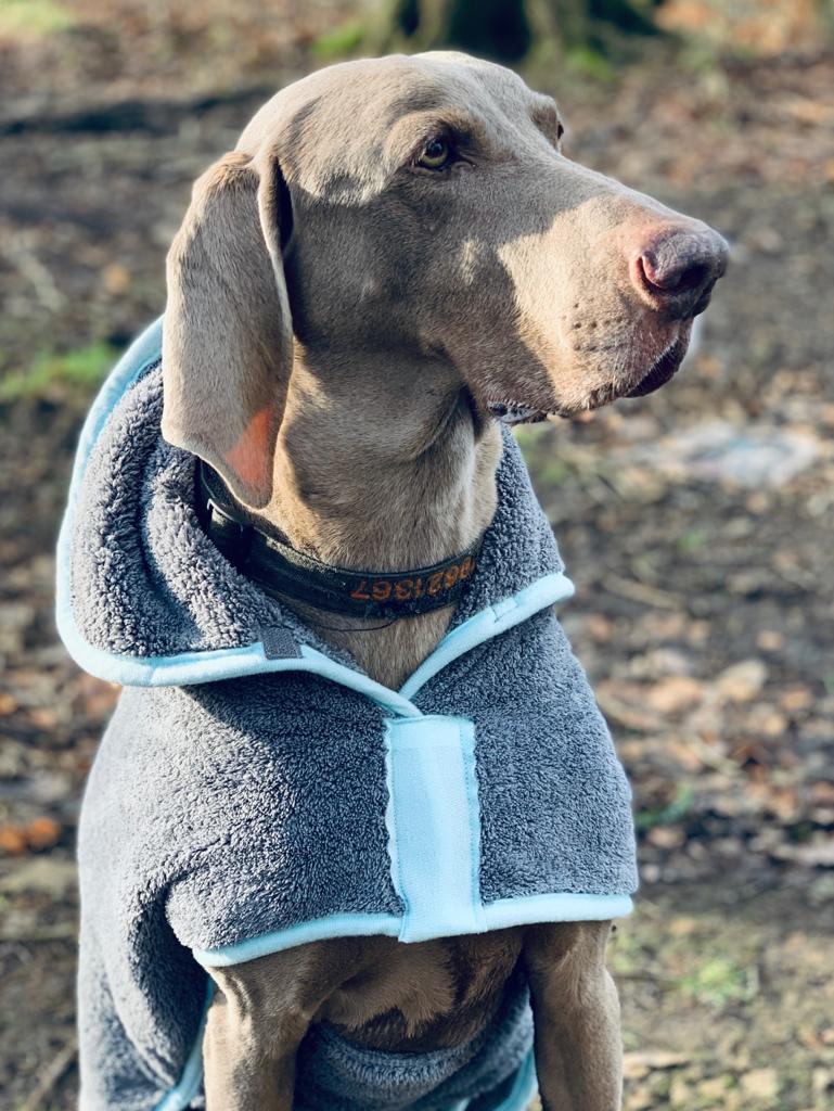 Henry Wag microvezel hondenbadjas - droogjas voor honden - Maat XL