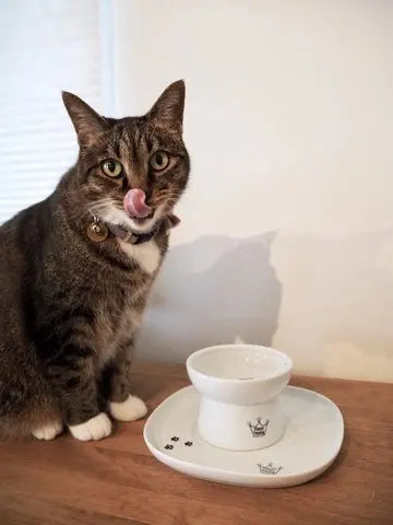 Voerbak dienblad - Schotel voor voer of drinkbak katten