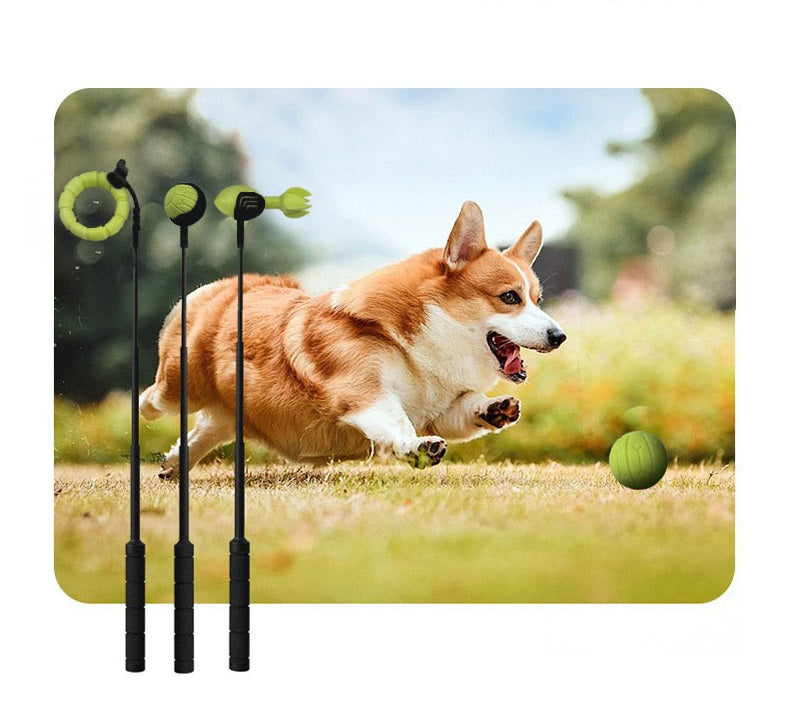 Werpstok voor honden - ballenwerper - hondenspeelgoed
