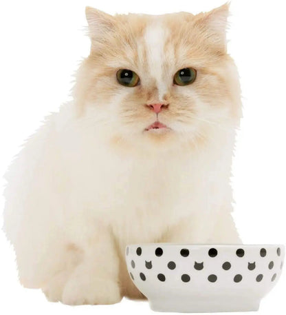 Necoichi voerbak katten - anti-mors - keramisch voerbakje