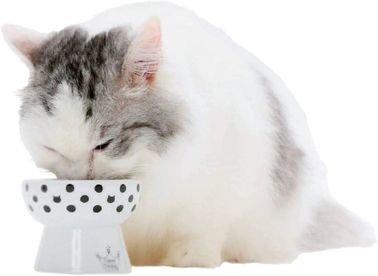 Mini voerbak katten of hondjes - hoog model