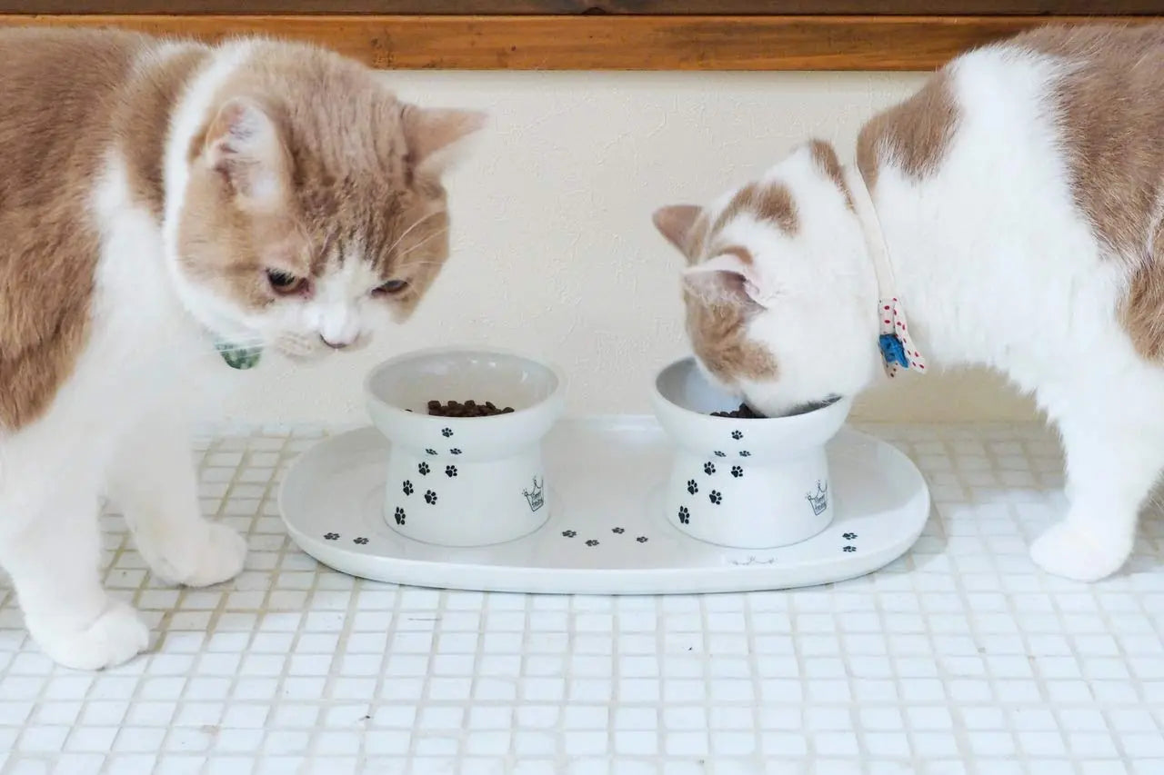 Necoichi dienblad inclusief twee bakjes voor katten