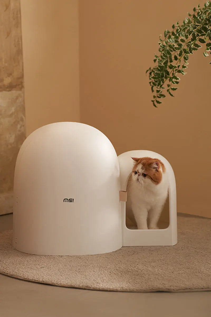 Design Kattenbak met schepje - Lekvrij en geurvrij
