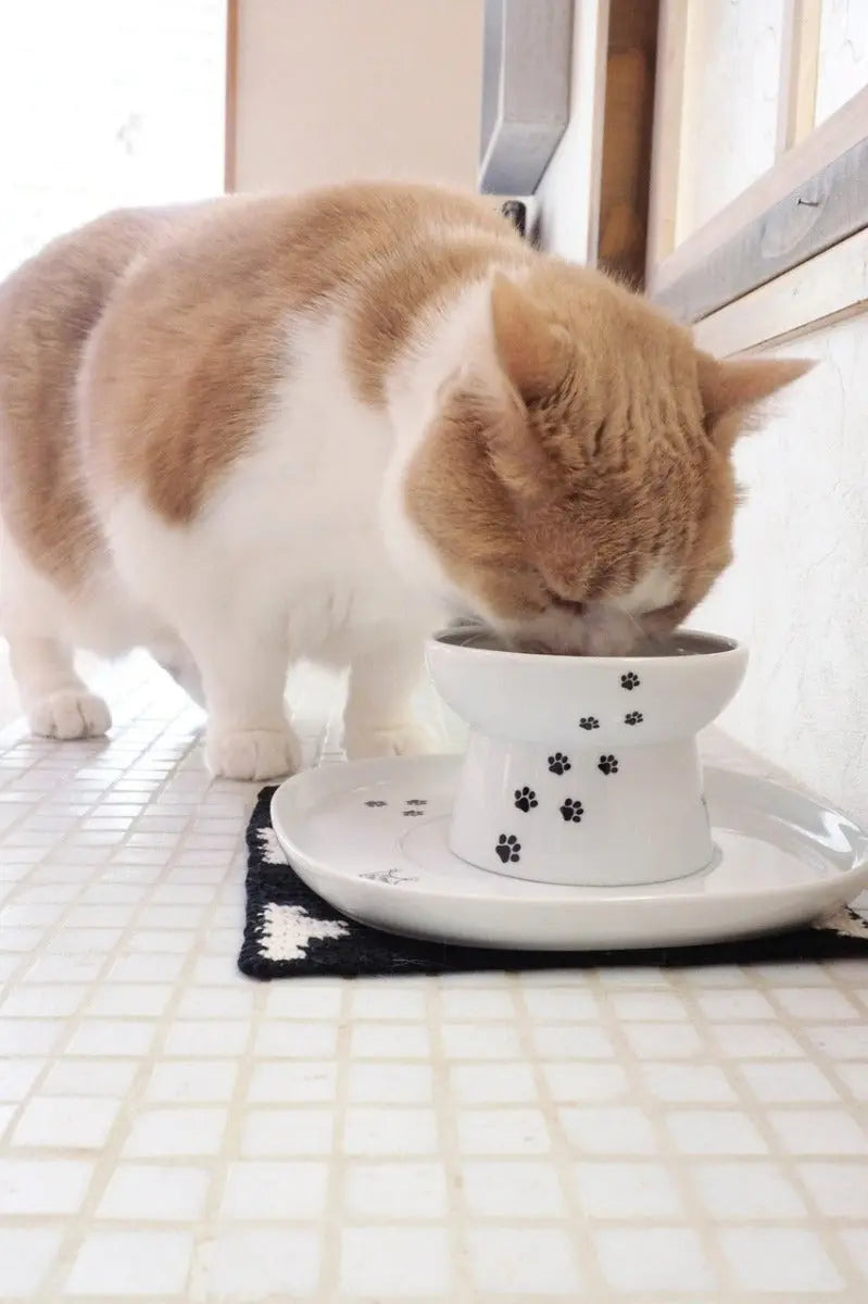 Voerbak dienblad - Schotel voor voer of drinkbak katten