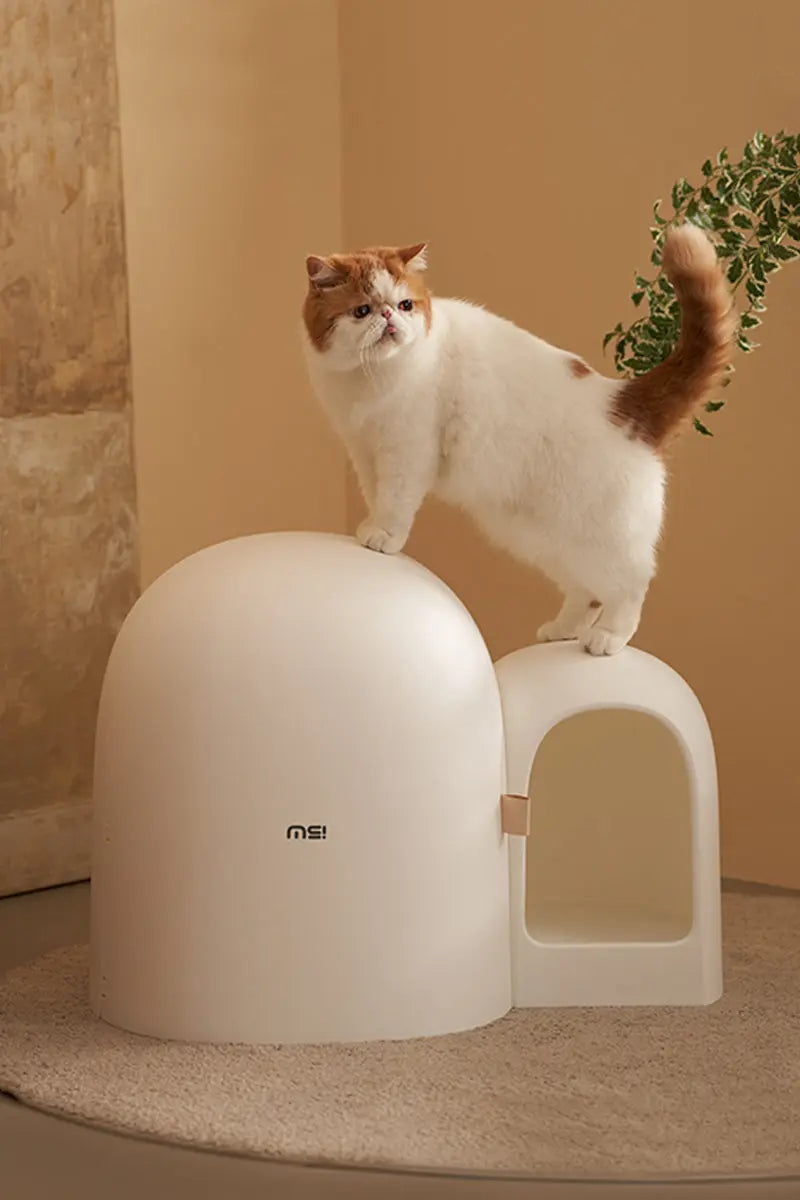 Design Kattenbak met schepje - Lekvrij en geurvrij
