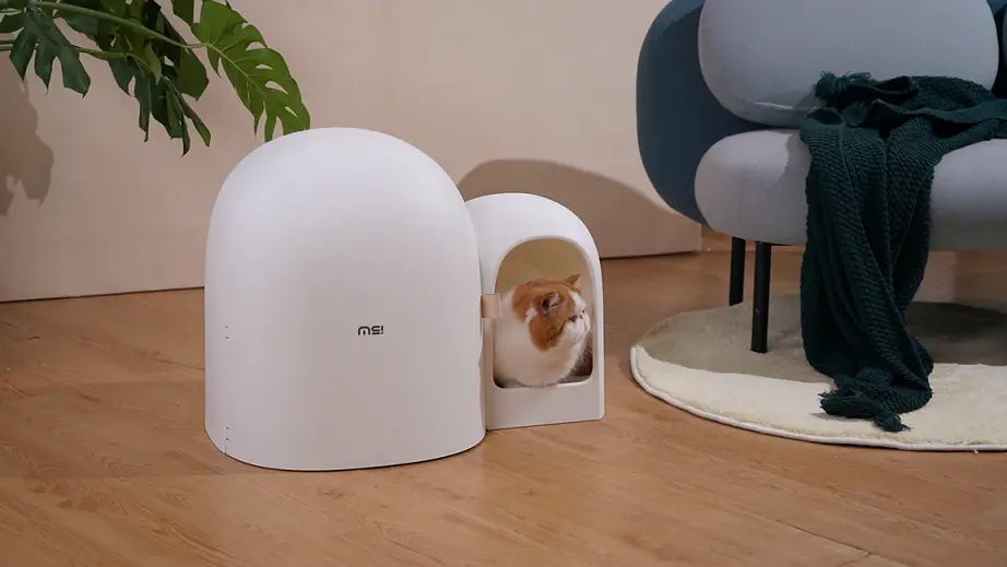 Design Kattenbak met schepje - Lekvrij en geurvrij