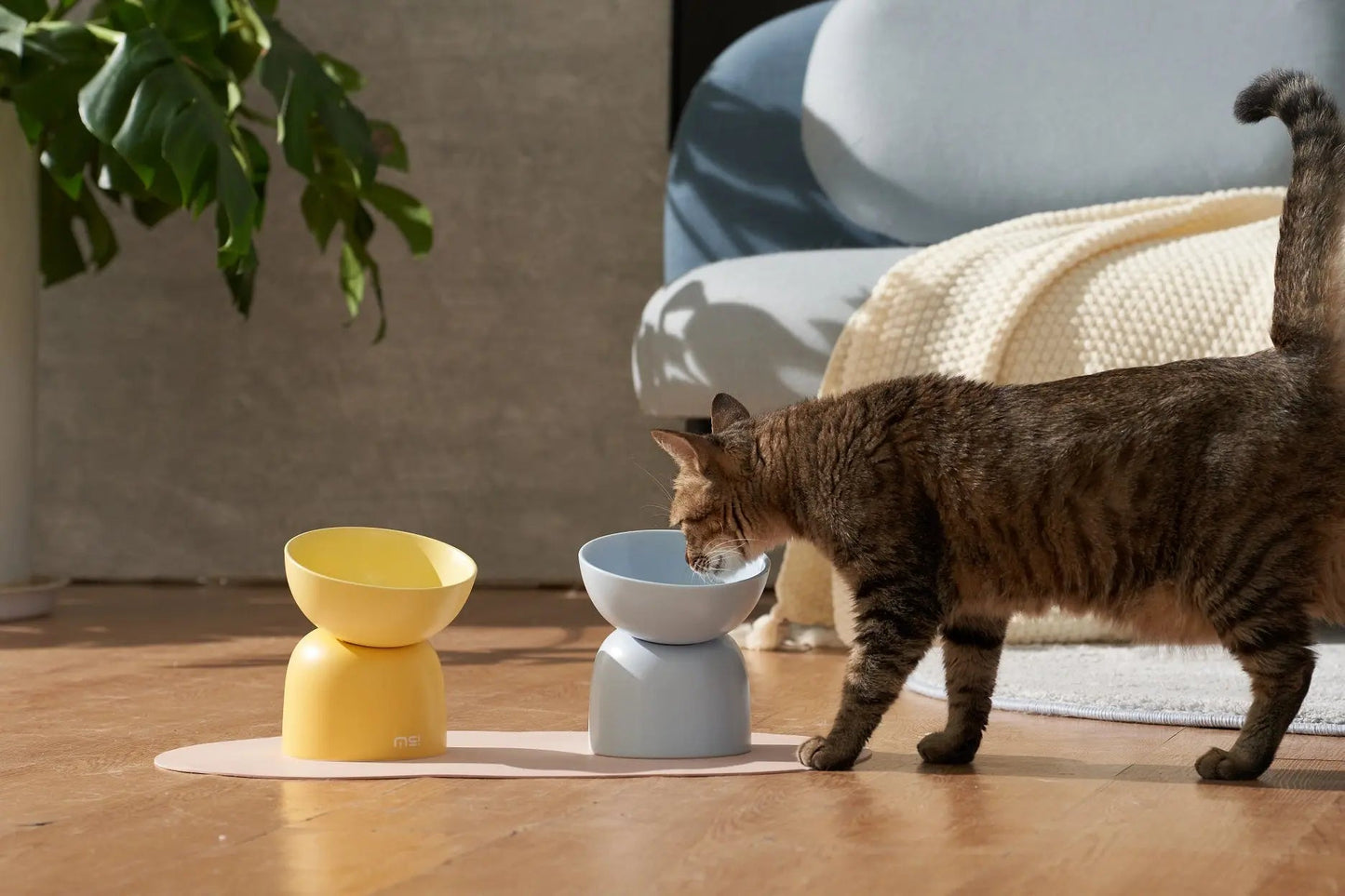 Katten voerbak - Verhoogde keramische voerbak