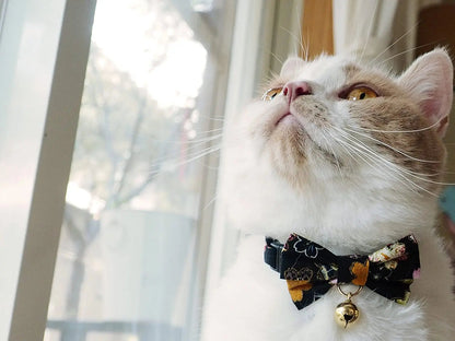 KIMONO kattenhalsband strik Donker Paars