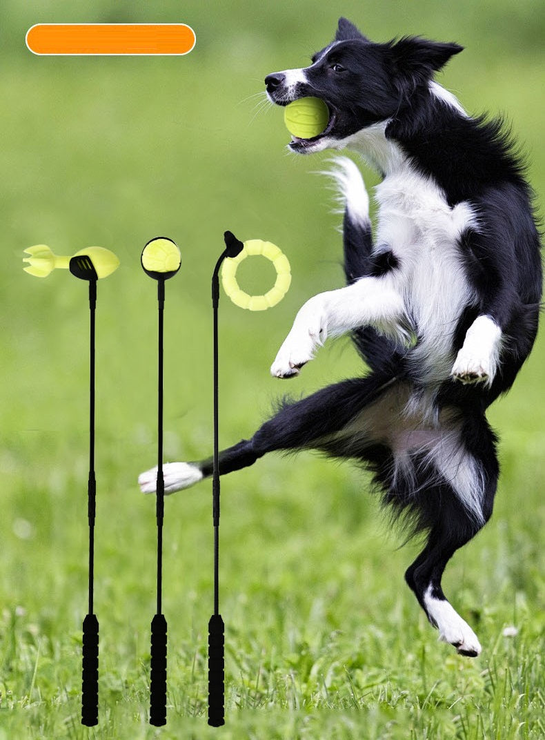 Werpstok voor honden - ballenwerper - hondenspeelgoed