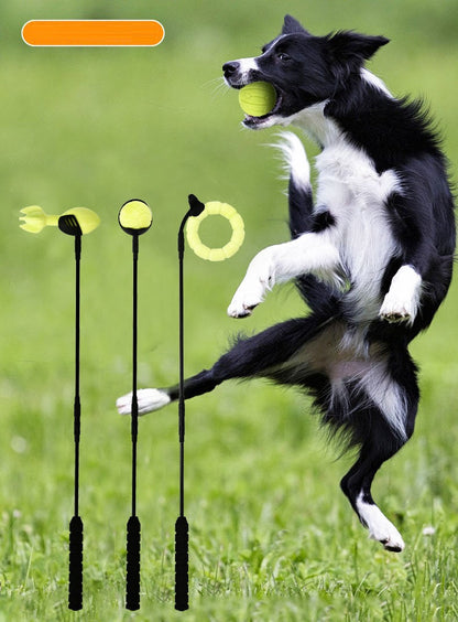 Werpstok voor honden - ballenwerper - hondenspeelgoed