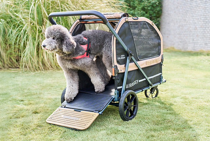 AirBuggy AIR-CRUISER Hondenbuggy voor XXL Rassen