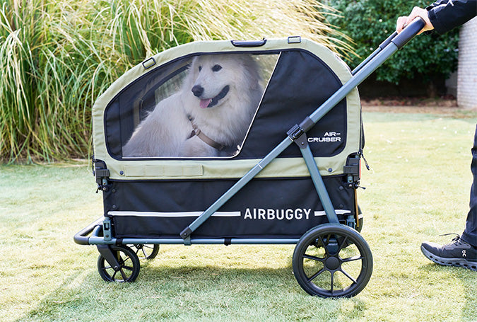 AirBuggy AIR-CRUISER Hondenbuggy voor XXL Rassen