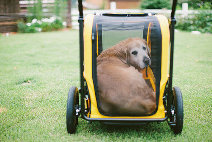 AirBuggy Carriage Set Earth Grey – Comfortabel reizen met jouw huisdier