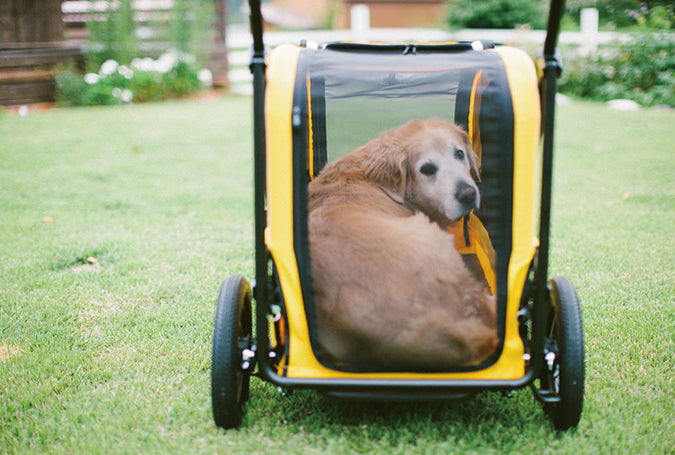 AirBuggy Carriage Set Moss Green – De Ultieme Luxe Hondenbuggy