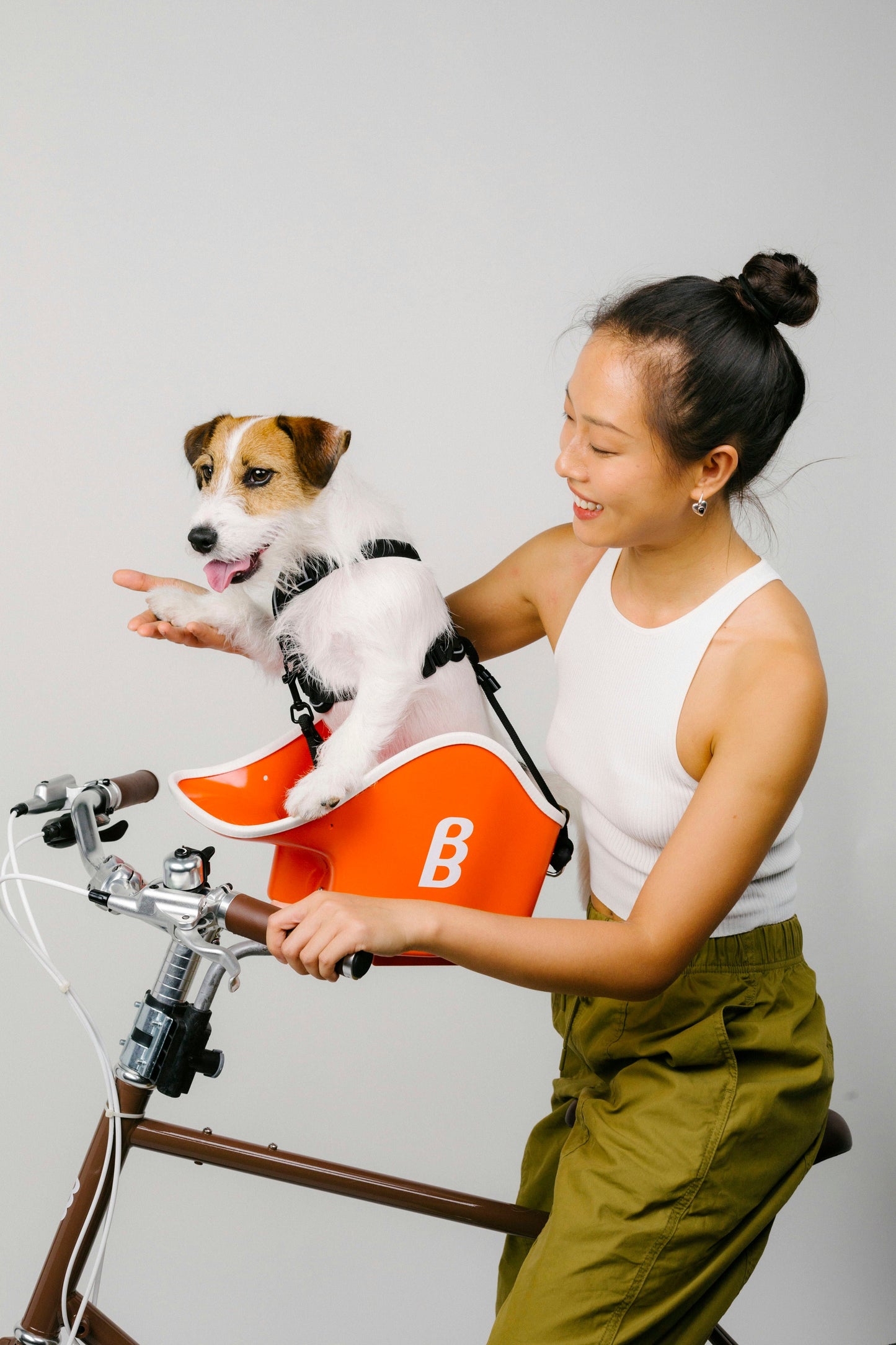Brook & Breeze Canine Copilot - fietsstoeltje voor hond of kat