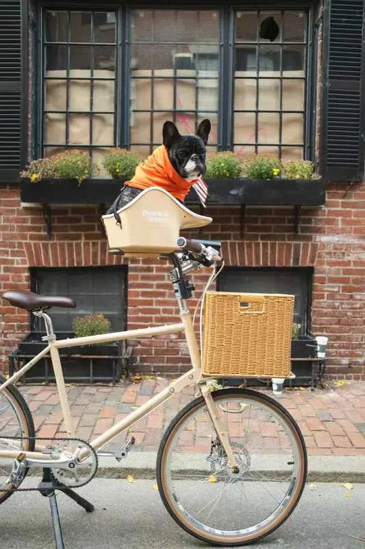 B&B Canine Copilot Crème Beige - Fietszitje voor huisdieren