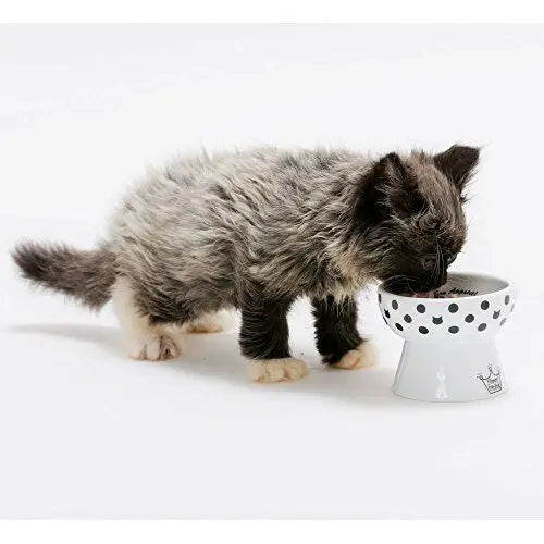 Mini voerbak katten of hondjes - hoog model