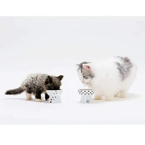 Mini voerbak katten of hondjes - hoog model