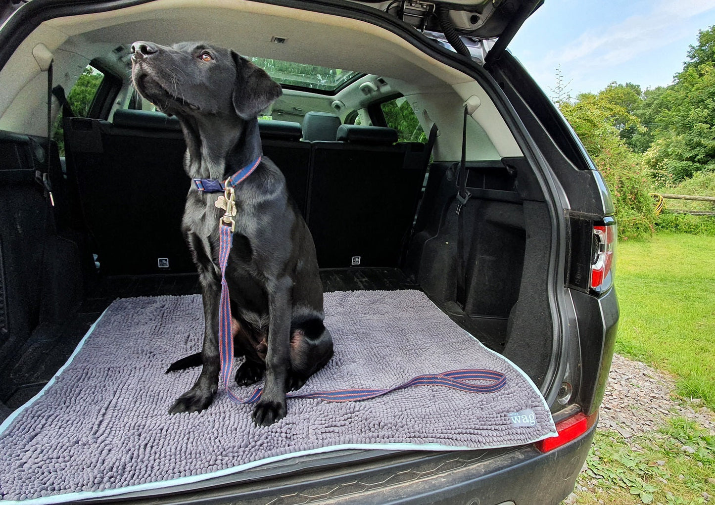 Henry Wag Microvezel Noodle Huisdier Mat - XL droogmat hond