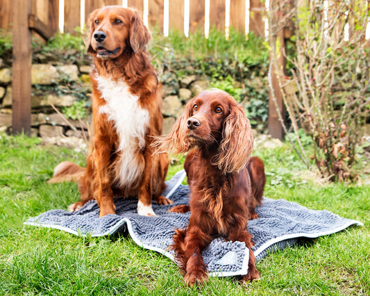 Henry Wag Microvezel Noodle Huisdier Mat - XL droogmat hond