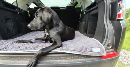 Henry Wag Microvezel Noodle Huisdier Mat - XL droogmat hond