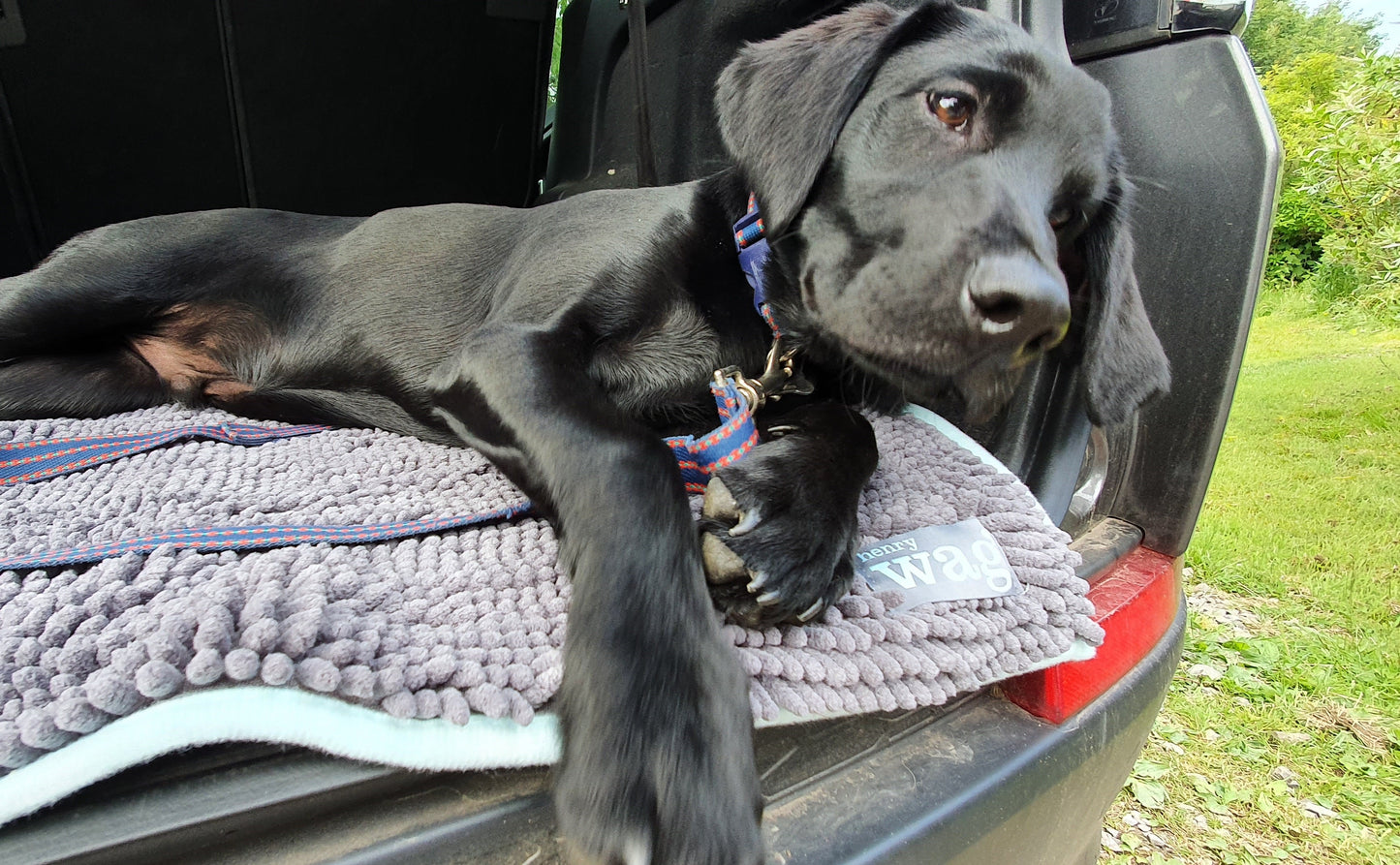 Henry Wag Microvezel Noodle Huisdier Mat - XL droogmat hond