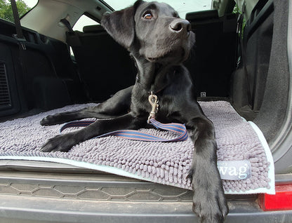 Henry Wag Microvezel Noodle Huisdier Mat - XL droogmat hond