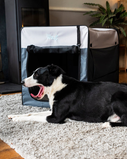 Henry Wag Opvouwbare Bench Hond - Reisbench L