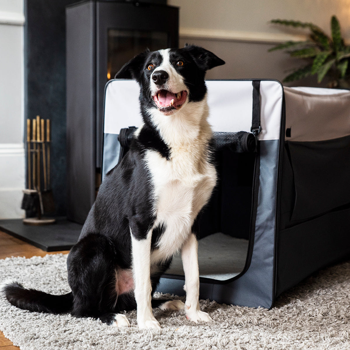Henry Wag Opvouwbare Bench Hond - Reisbench L