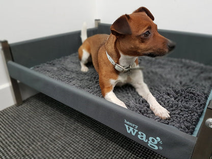 Henry Wag Microvezel Noodle Huisdier Mat - Droogmat voor honden - Maat M