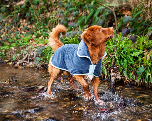 Henry Wag honden badjas - droogjas voor honden - Maat M