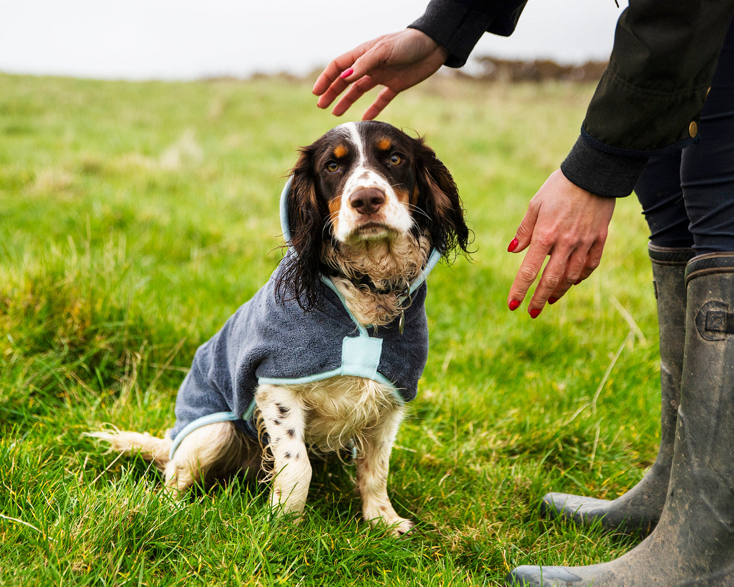 Henry Wag honden badjas - droogjas voor honden - Maat M