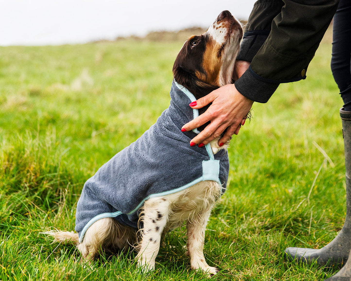 Henry Wag honden badjas - droogjas voor honden - Maat M