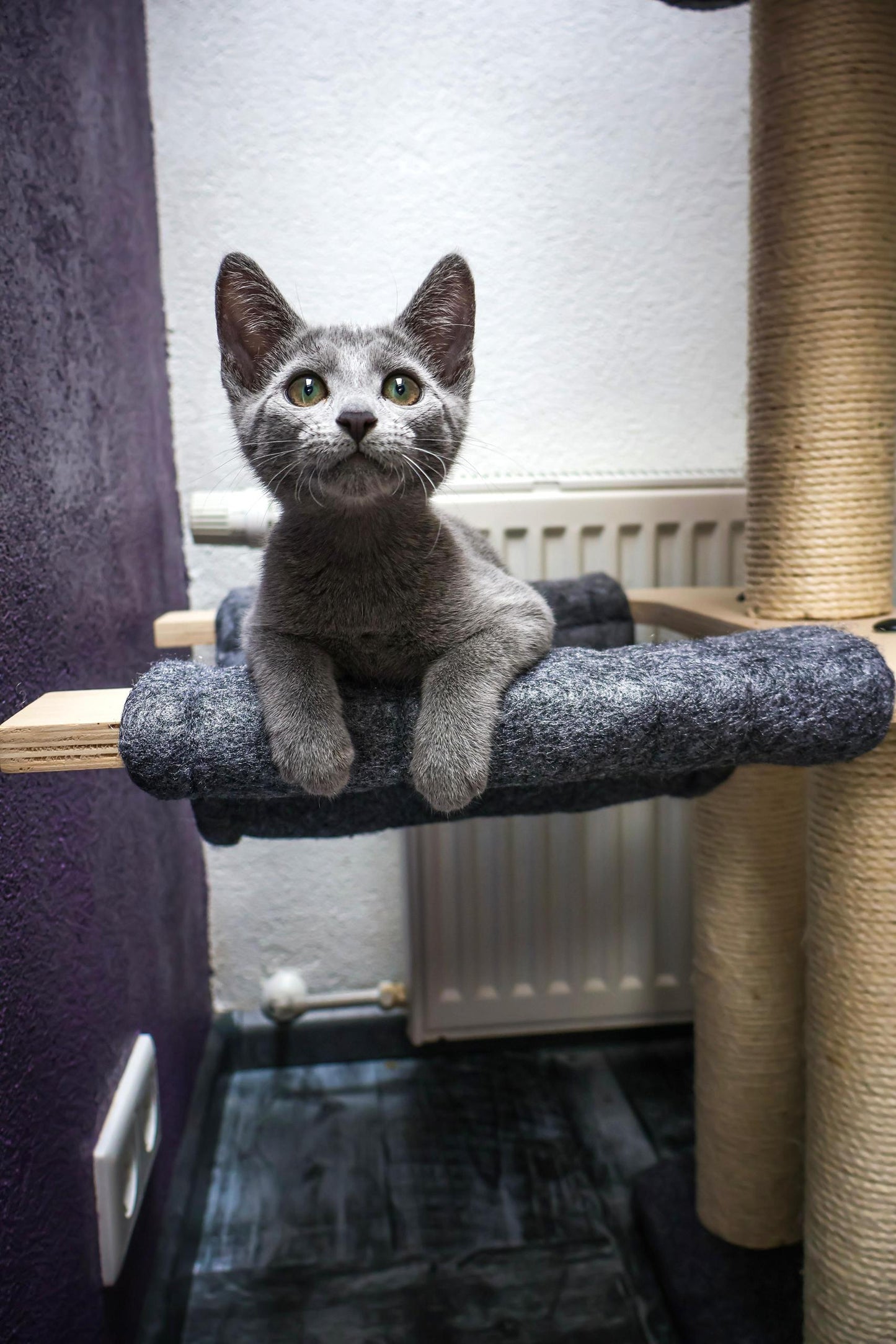 Katten krabpaal Candy - klimboom - grijs