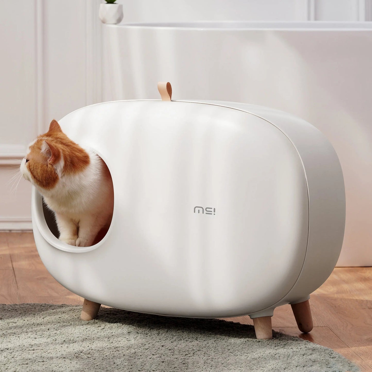 Design Kattenbak - inclusief schepje - lekvrij en geurvrij