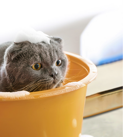 Ontharing Shampoo voor katten met radix extract - 200ml