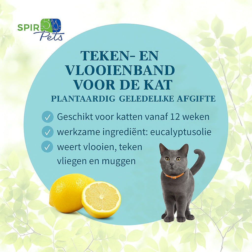 Natuurlijke vlooien- en tekenband - 60cm - Oranje