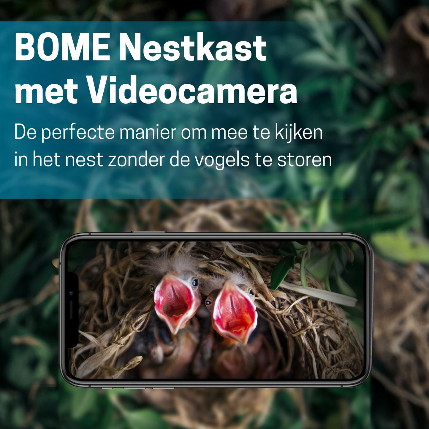 Vogelhuisje met Camera en Audio - Hout - Nestkastje - Zonnepaneel