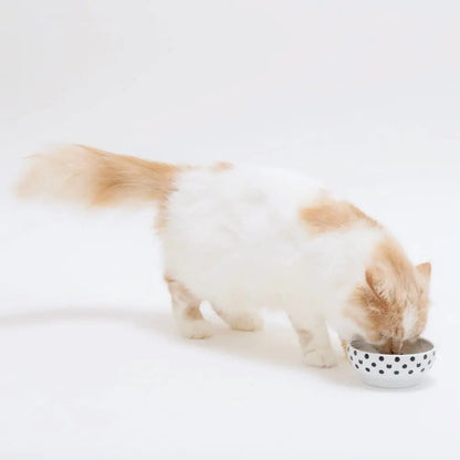 Necoichi voerbak katten - anti-mors - keramisch voerbakje