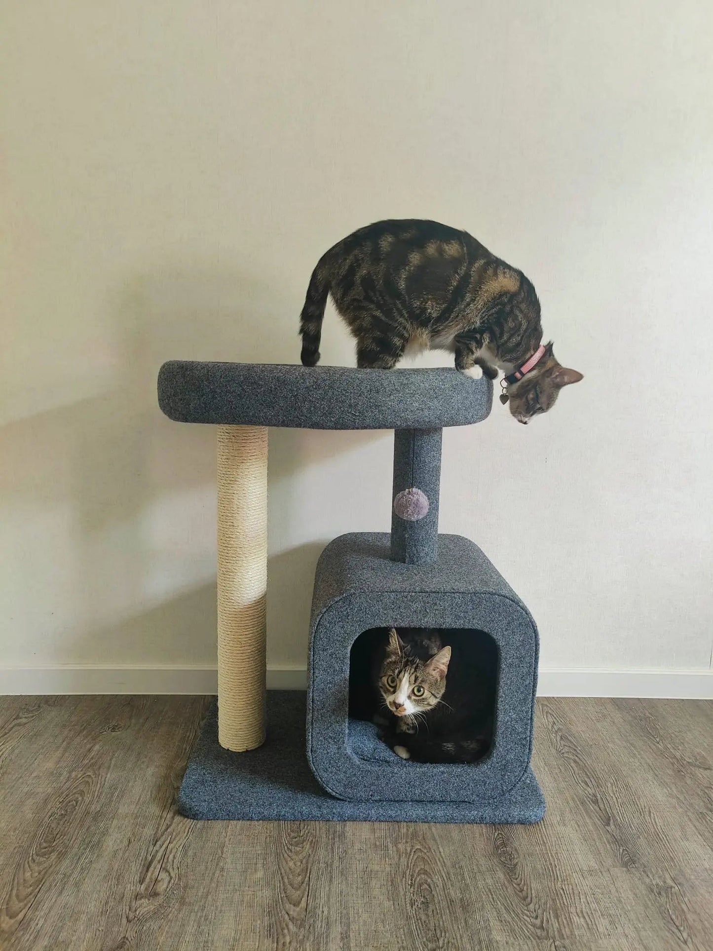 Krabpaal voor katten met huisje - 2 niveaus en gezellige slaapplek