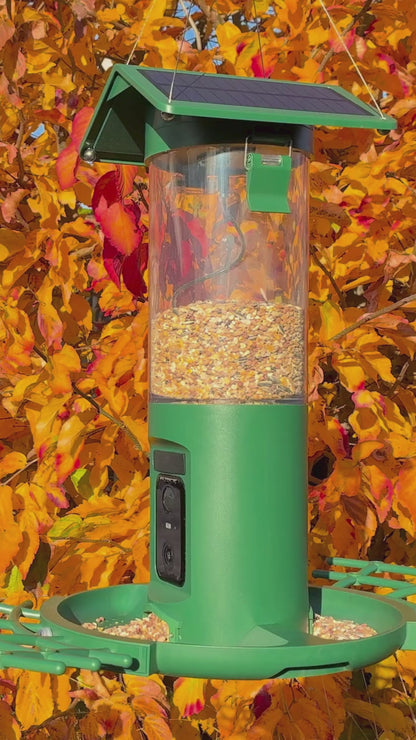 Vogelvoedersilo - 2K HD Camera - AI Vogelherkenning - Dubbel Zonnepaneel